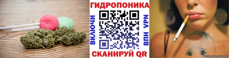 купить цена Тайшет Canna-Cookies марихуана