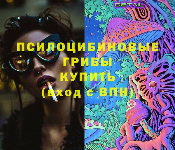 круглые Алзамай