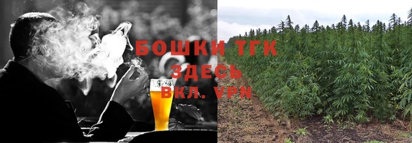индика Нязепетровск