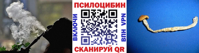 ссылка на мегу зеркало shop Telegram Тайшет Псилоцибиновые грибы Magic Shrooms закладка